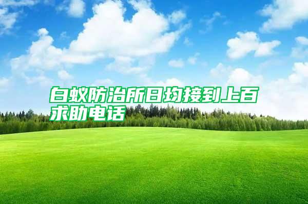 白蟻防治所日均接到上百求助電話