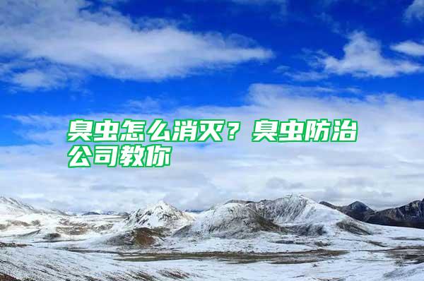 臭蟲怎么消滅？臭蟲防治公司教你