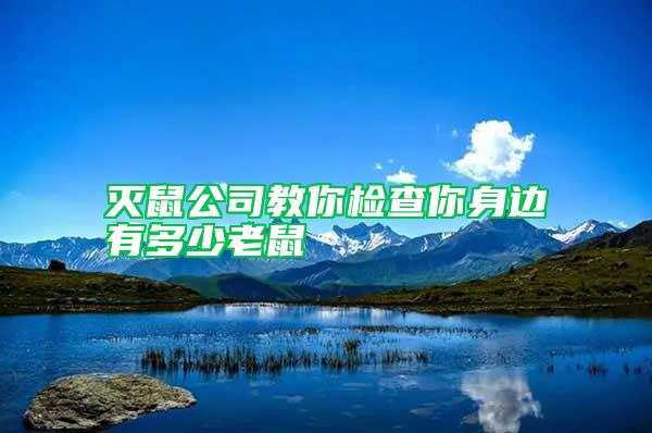 滅鼠公司教你檢查你身邊有多少老鼠