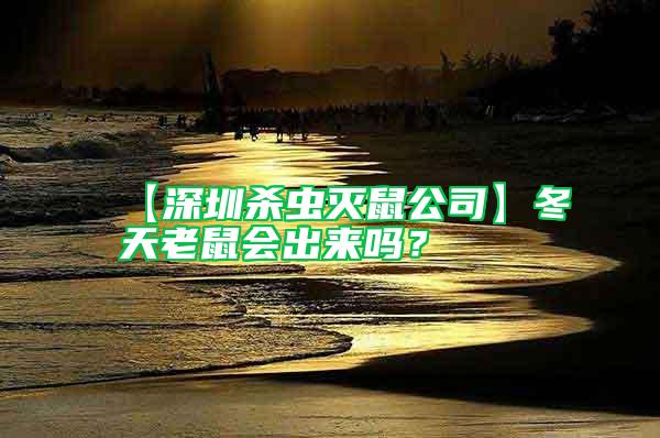 【深圳殺蟲滅鼠公司】冬天老鼠會(huì)出來(lái)嗎？