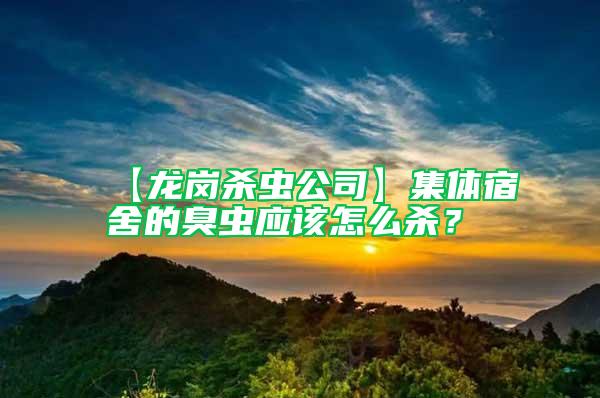 【龍崗殺蟲公司】集體宿舍的臭蟲應該怎么殺？