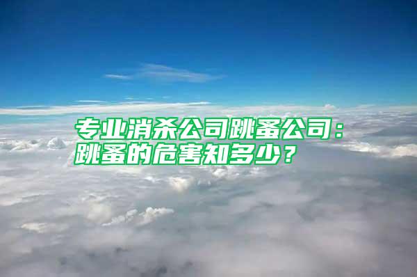 專業(yè)消殺公司跳蚤公司：跳蚤的危害知多少？