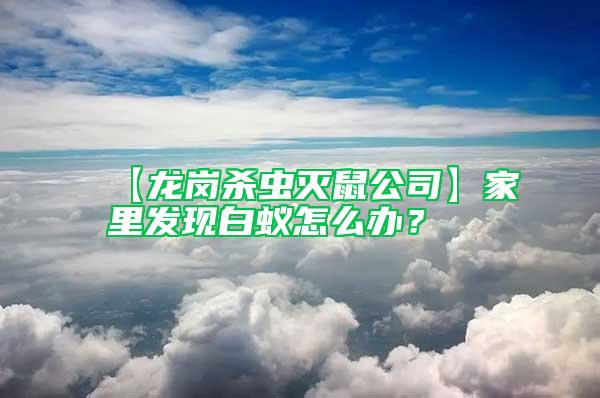 【龍崗殺蟲滅鼠公司】家里發(fā)現(xiàn)白蟻怎么辦？