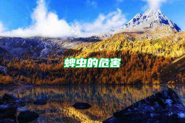 蜱蟲的危害