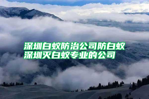 深圳白蟻防治公司防白蟻深圳滅白蟻專業的公司