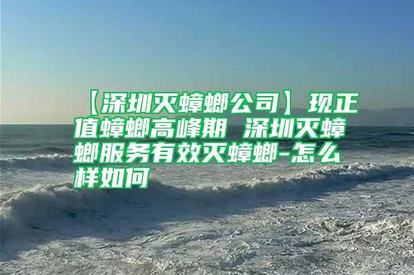 【深圳滅蟑螂公司】現正值蟑螂高峰期 深圳滅蟑螂服務有效滅蟑螂-怎么樣如何