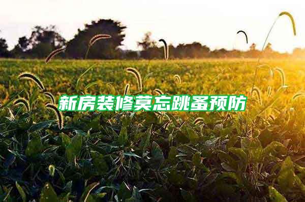 新房裝修莫忘跳蚤預(yù)防