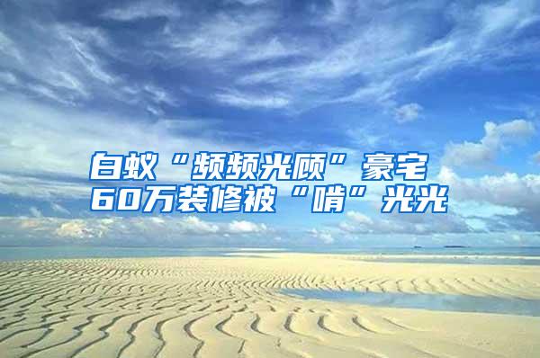 白蟻“頻頻光顧”豪宅 60萬(wàn)裝修被“啃”光光
