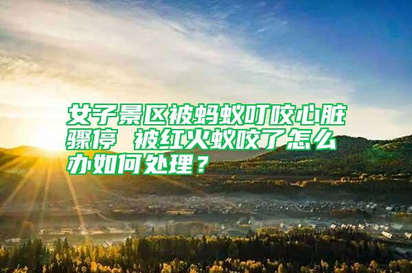 女子景區(qū)被螞蟻叮咬心臟驟停 被紅火蟻咬了怎么辦如何處理？