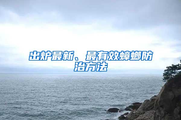 出爐最新、最有效蟑螂防治方法
