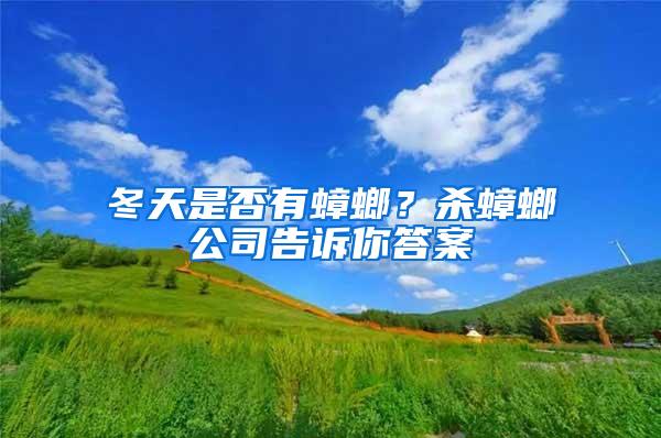 冬天是否有蟑螂？殺蟑螂公司告訴你答案
