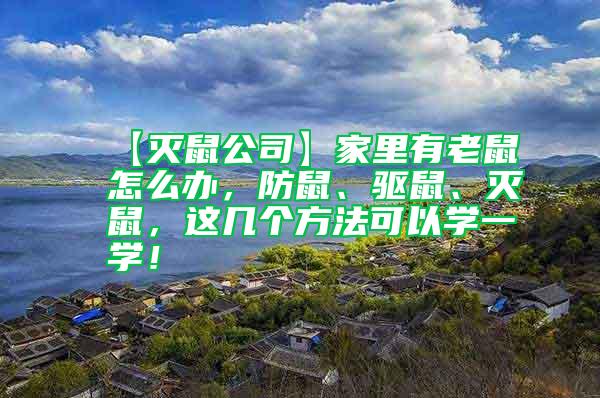 【滅鼠公司】家里有老鼠怎么辦，防鼠、驅(qū)鼠、滅鼠，這幾個方法可以學一學！