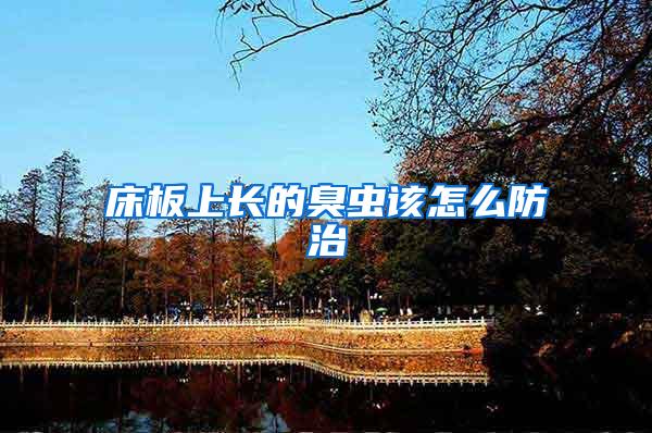 床板上長的臭蟲該怎么防治