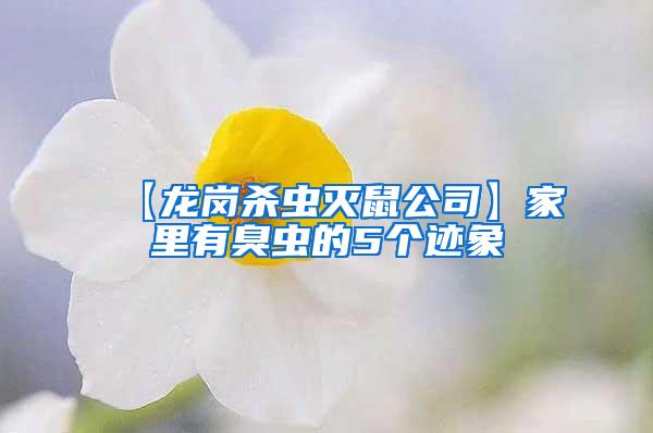 【龍崗殺蟲滅鼠公司】家里有臭蟲的5個跡象