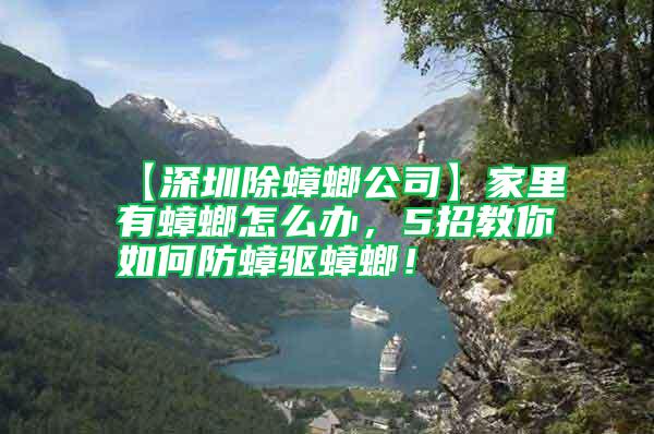 【深圳除蟑螂公司】家里有蟑螂怎么辦，5招教你如何防蟑驅(qū)蟑螂！