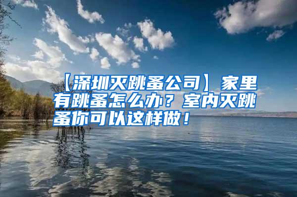 【深圳滅跳蚤公司】家里有跳蚤怎么辦？室內滅跳蚤你可以這樣做！