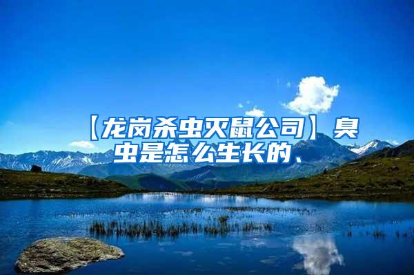 【龍崗殺蟲滅鼠公司】臭蟲是怎么生長的、