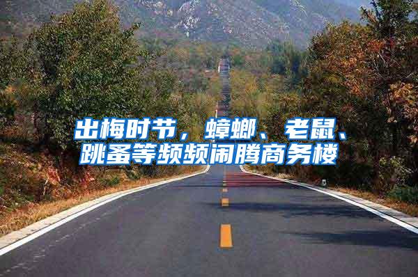 出梅時節，蟑螂、老鼠、跳蚤等頻頻鬧騰商務樓