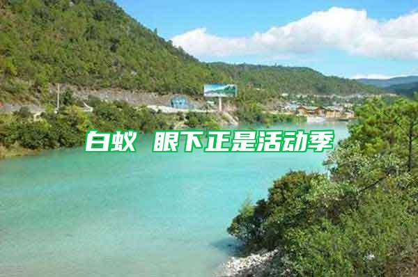 白蟻 眼下正是活動(dòng)季