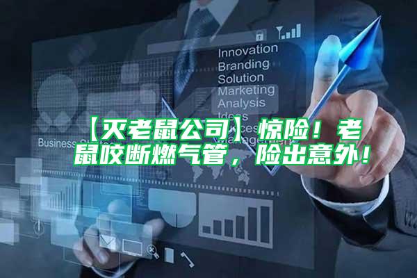 【滅老鼠公司】驚險(xiǎn)！老鼠咬斷燃?xì)夤埽U(xiǎn)出意外！