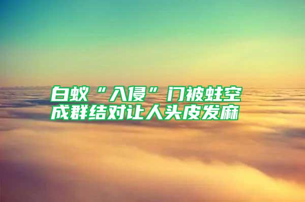 白蟻“入侵”門被蛀空 成群結對讓人頭皮發麻