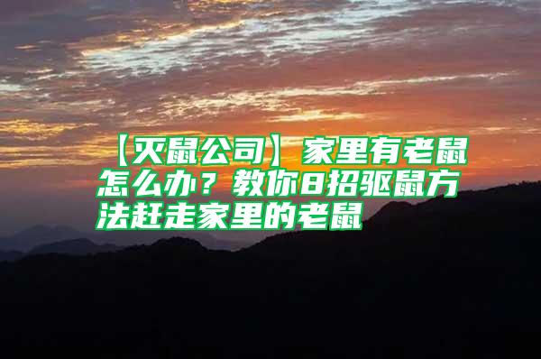 【滅鼠公司】家里有老鼠怎么辦？教你8招驅(qū)鼠方法趕走家里的老鼠