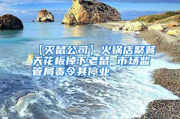 【滅鼠公司】火鍋店聚餐天花板掉下老鼠 市場監(jiān)管局責令其停業(yè)