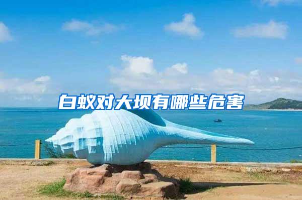 白蟻對(duì)大壩有哪些危害