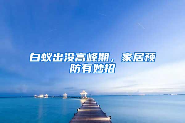 白蟻出沒(méi)高峰期，家居預(yù)防有妙招