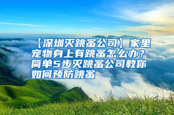 【深圳滅跳蚤公司】家里寵物身上有跳蚤怎么辦？簡(jiǎn)單5步滅跳蚤公司教你如何預(yù)防跳蚤