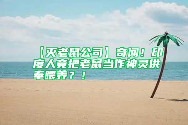 【滅老鼠公司】奇聞！印度人竟把老鼠當作神靈供奉喂養？！