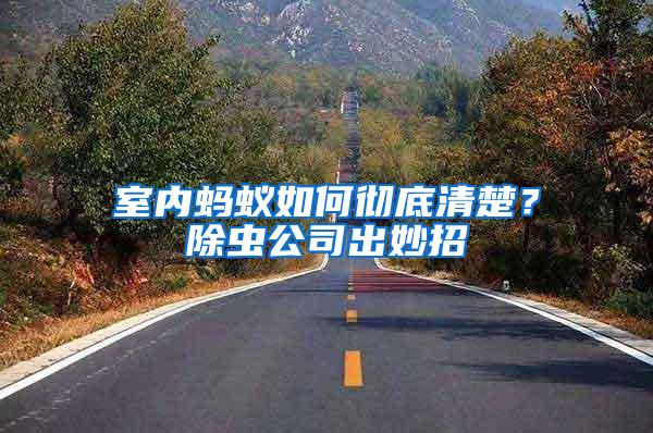 室內螞蟻如何徹底清楚？除蟲公司出妙招