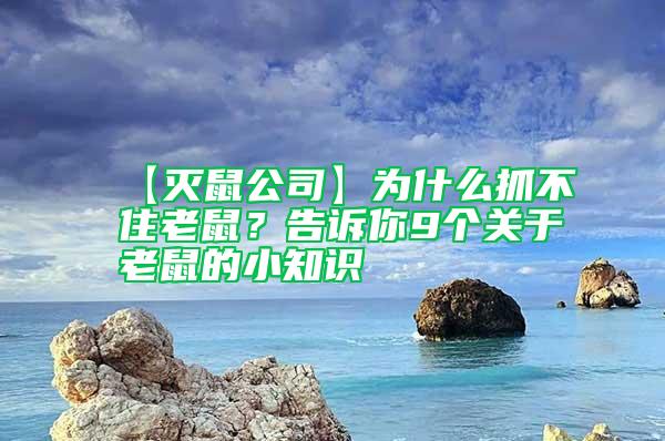 【滅鼠公司】為什么抓不住老鼠？告訴你9個(gè)關(guān)于老鼠的小知識(shí)