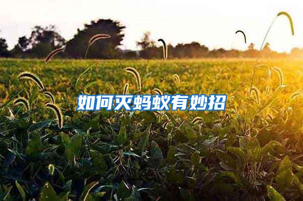 如何滅螞蟻有妙招