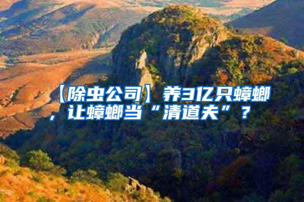 【除蟲(chóng)公司】養(yǎng)3億只蟑螂，讓蟑螂當(dāng)“清道夫”？
