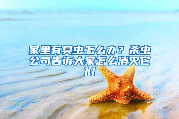 家里有臭蟲怎么辦？殺蟲公司告訴大家怎么消滅它們