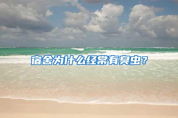 宿舍為什么經常有臭蟲？