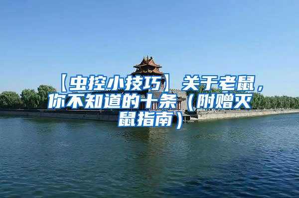 【蟲控小技巧】關于老鼠，你不知道的十條（附贈滅鼠指南）