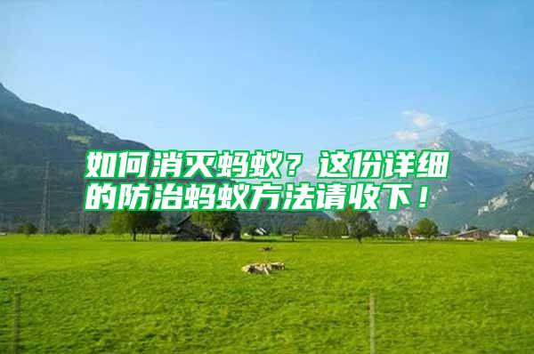 如何消滅螞蟻？這份詳細的防治螞蟻方法請收下！