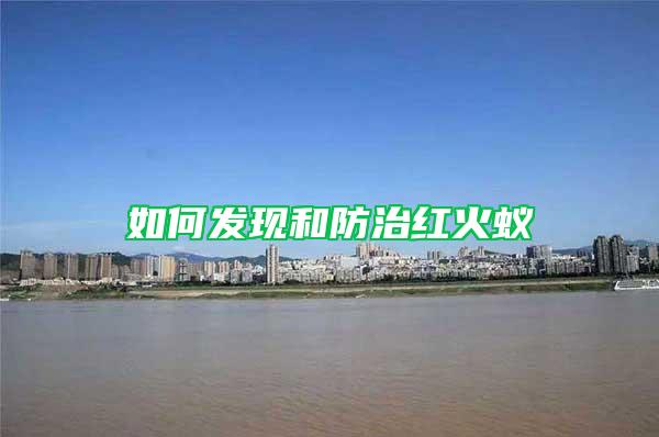 如何發(fā)現(xiàn)和防治紅火蟻