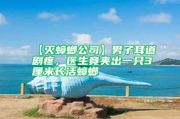【滅蟑螂公司】男子耳道劇疼，醫(yī)生竟夾出一只3厘米長(zhǎng)活蟑螂