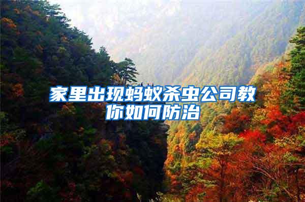 家里出現螞蟻殺蟲公司教你如何防治