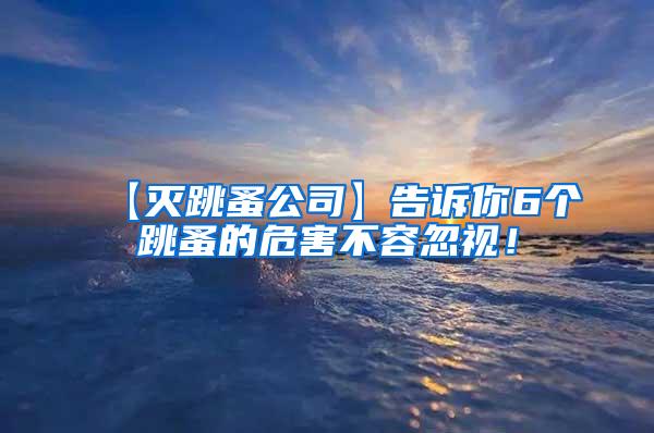 【滅跳蚤公司】告訴你6個跳蚤的危害不容忽視！