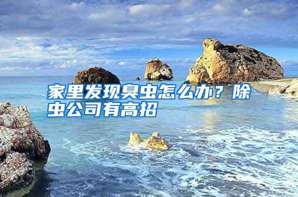 家里發(fā)現(xiàn)臭蟲怎么辦？除蟲公司有高招