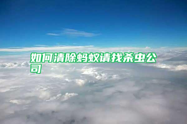 如何清除螞蟻請(qǐng)找殺蟲(chóng)公司
