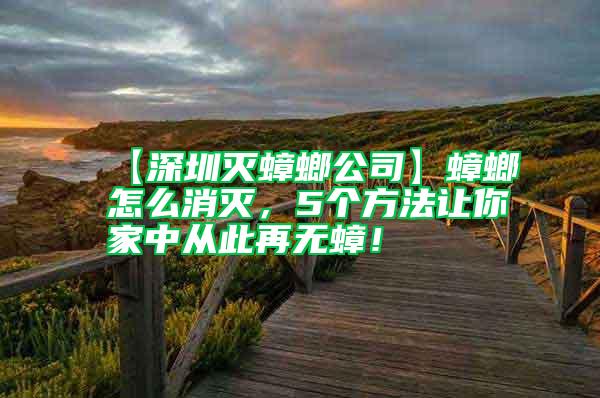 【深圳滅蟑螂公司】蟑螂怎么消滅，5個方法讓你家中從此再無蟑！