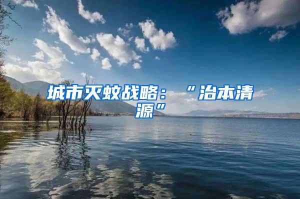 城市滅蚊戰略：“治本清源”