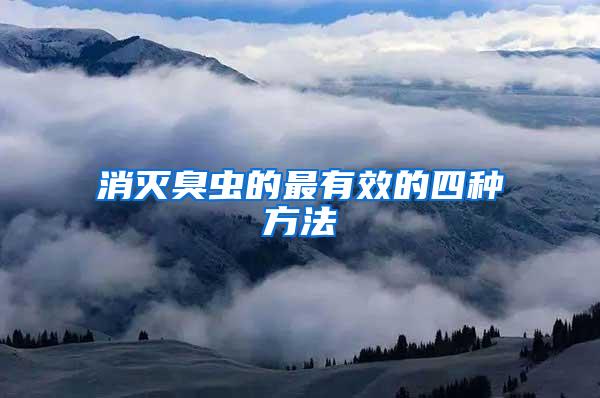 消滅臭蟲(chóng)的最有效的四種方法