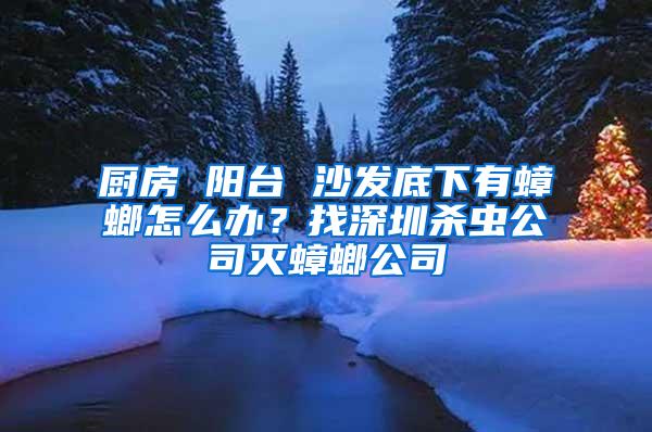 廚房 陽臺(tái) 沙發(fā)底下有蟑螂怎么辦？找深圳殺蟲公司滅蟑螂公司