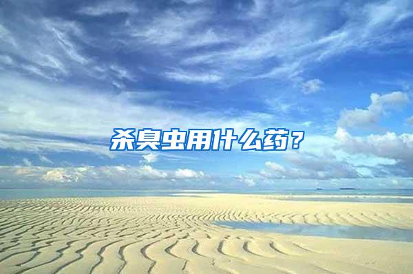 殺臭蟲用什么藥？